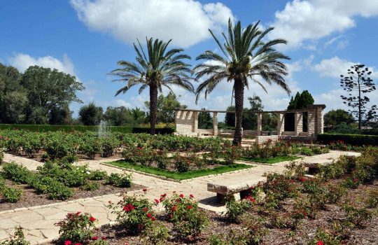 סיורים בזכרון יעקב2